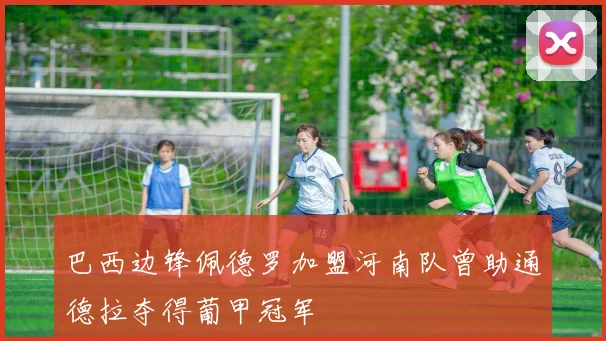巴西边锋佩德罗加盟河南队曾助通德拉夺得葡甲冠军