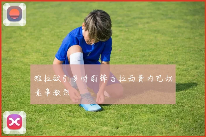 维拉欲引多特前锋吉拉西费内巴切竞争激烈