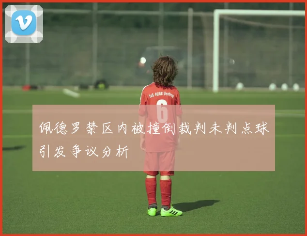 佩德罗禁区内被撞倒裁判未判点球引发争议分析